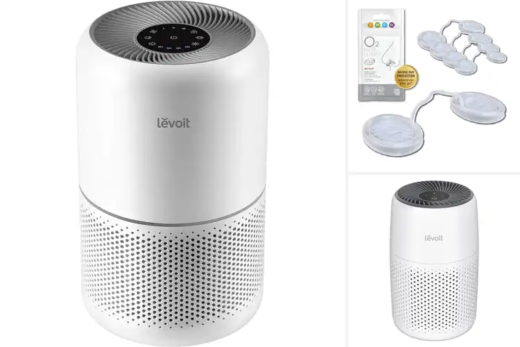 Detailed view of Best Allergy Filters