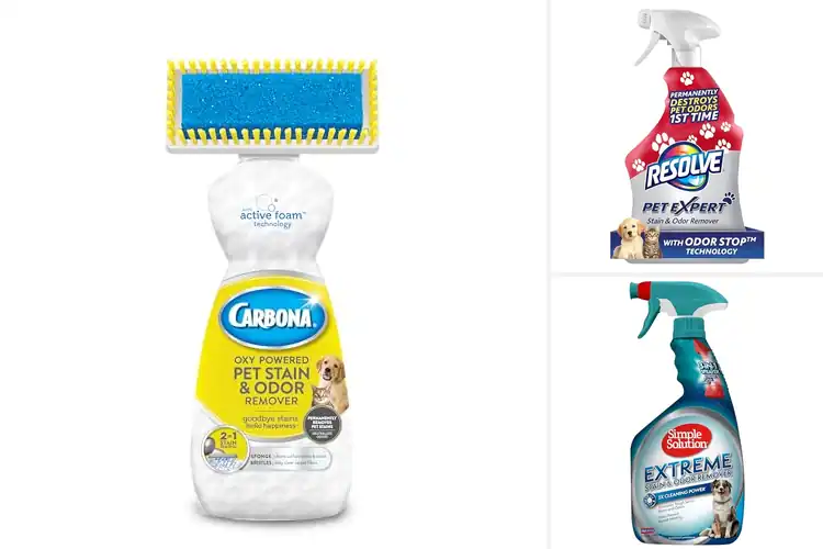 Detailed view of Best Cleaning Power For Pet Stains And Odors
