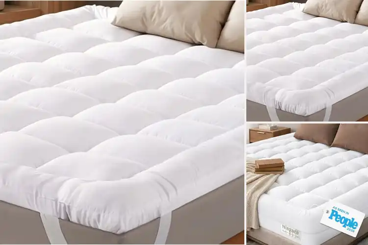 Detailed view of Best Cloud-Like Back Support Topper