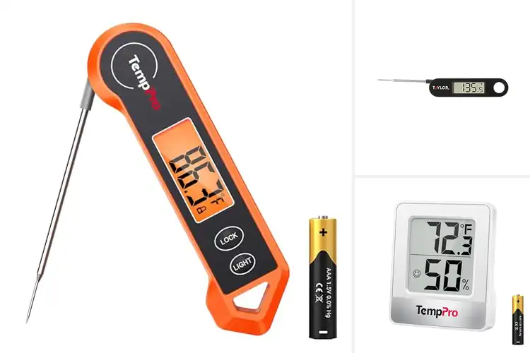 Detailed view of Best Compact Digital Thermometers