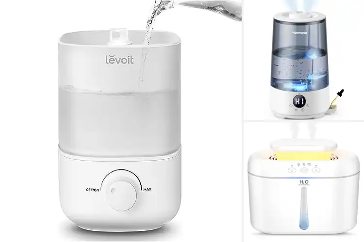 Detailed view of Best Cool Mist Humidifiers