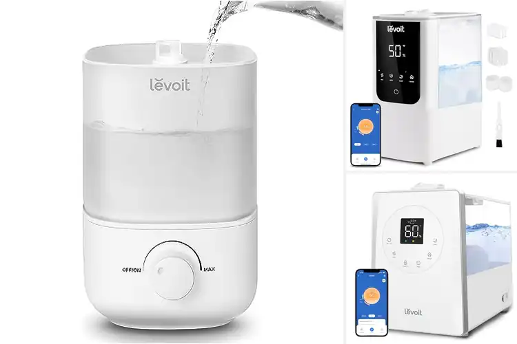 Detailed view of Best Customizable Mist Humidifiers