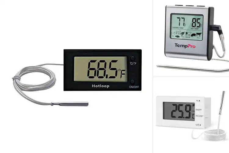 Detailed view of Best Digital Oven Thermometers
