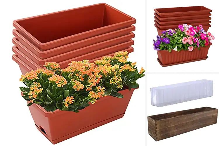 Detailed view of Best Flower Boxes