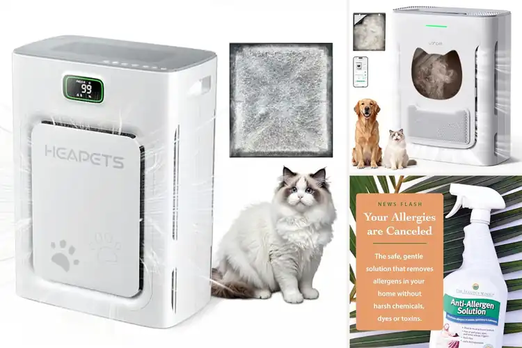 Detailed view of Best Home Cleaning For Pet Dander