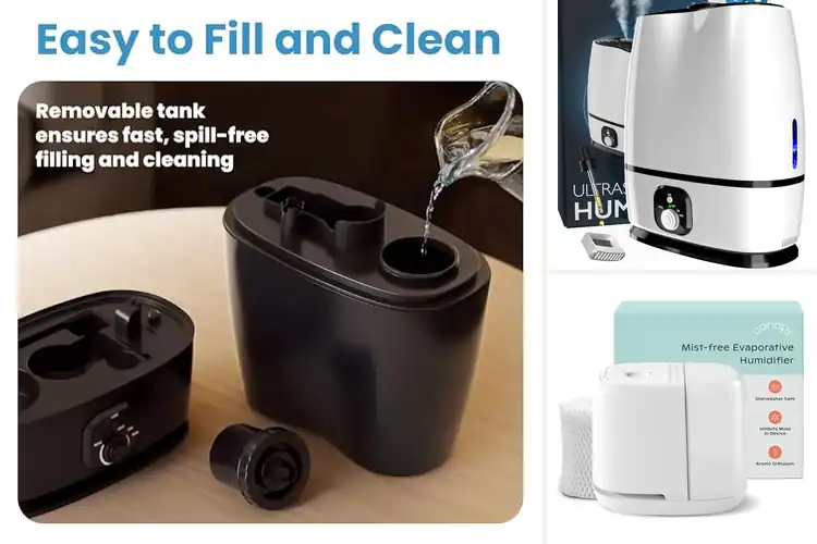 Detailed view of Best Humidifiers For Dry Throats