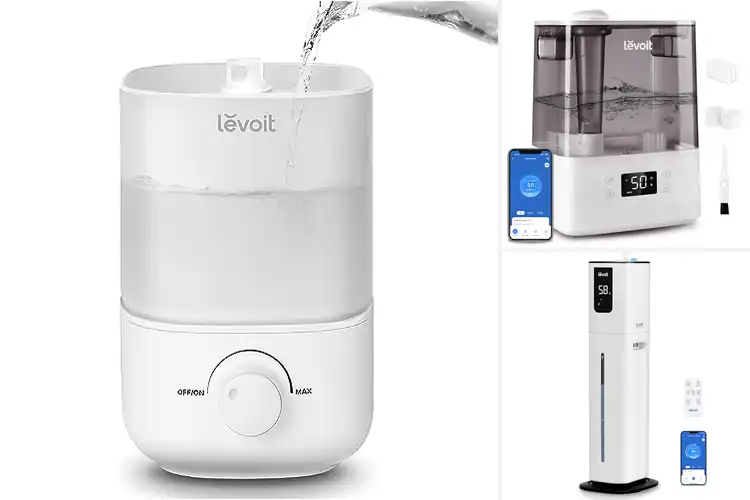 Detailed view of Best LEVOIT Humidifiers: Top Picks for Healthier Home Air