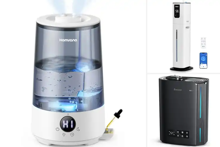 Detailed view of Best Long-Lasting Humidifiers