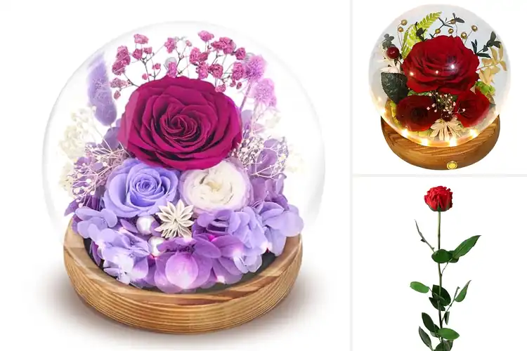 Detailed view of Best Long-Lasting Roses Gifts to Brighten Your Space Forever