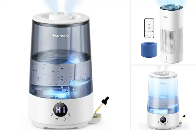 Detailed view of Best Long-Run Humidifiers