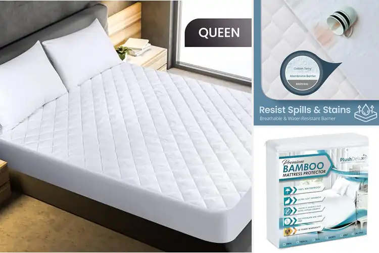 Detailed view of Best Machine Washable Mattress Protector