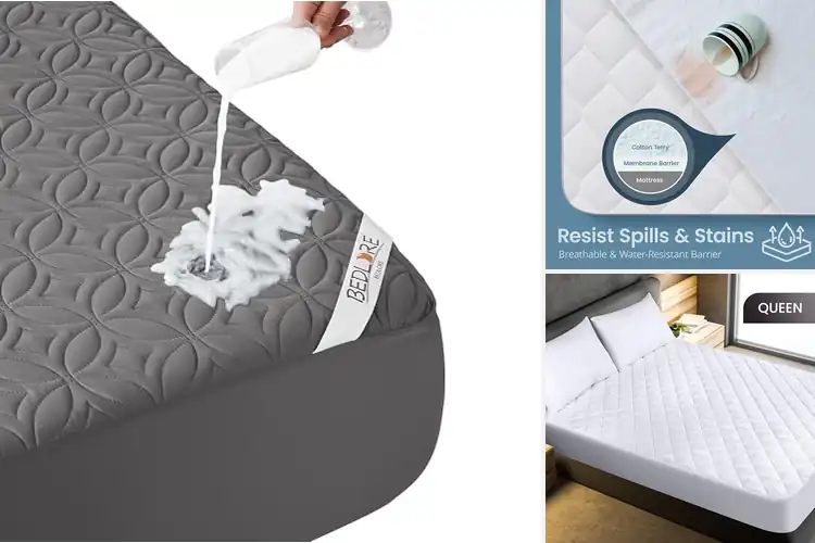 Detailed view of Best Machine-Washable Mattress Protectors