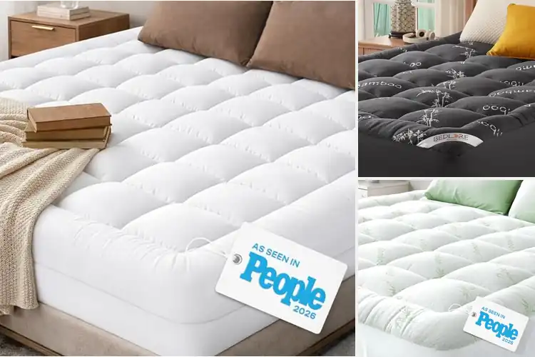 Detailed view of Best Mattress Toppers For Back Pain