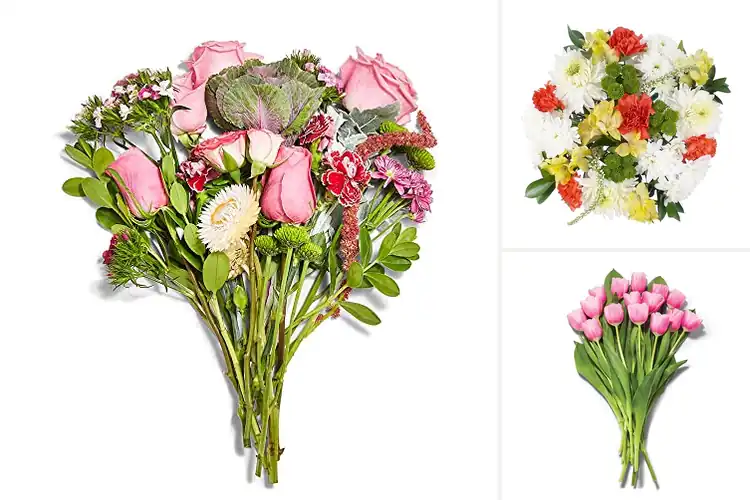 Detailed view of Best Mother’s Day Flowers