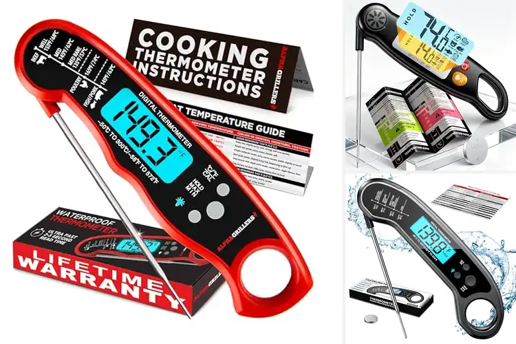 Detailed view of Best Multi-Use Food Thermometers