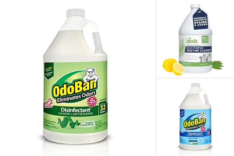 Detailed view of Best Odor Eliminating Cleaners: Top 10 Fresh Home Solutions