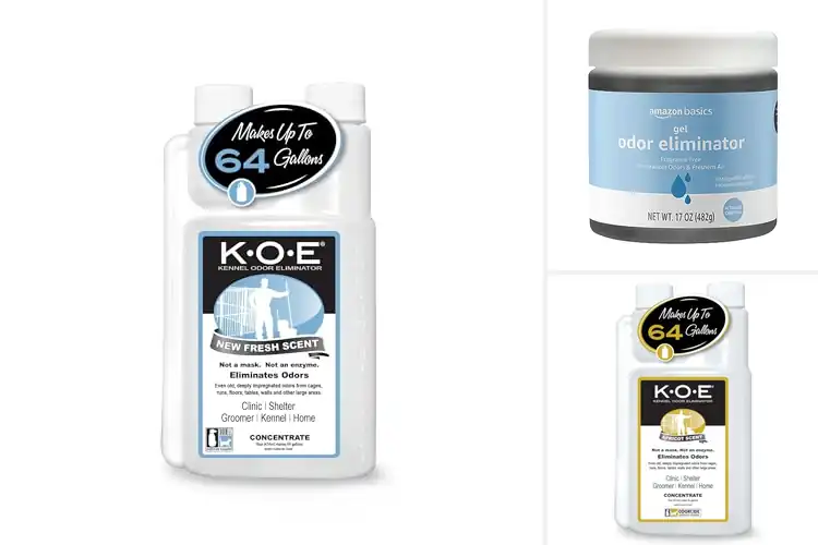 Detailed view of Best Odor Eliminating Formula: Top 10 Fresh Home Solutions