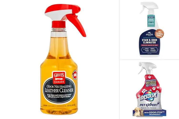 Detailed view of Best Odor Neutralizing Cleaners