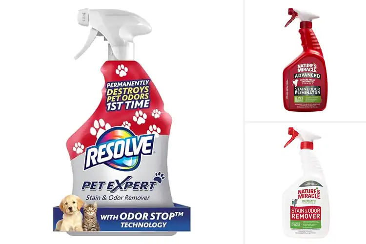 Detailed view of Best Pet Stain Removers