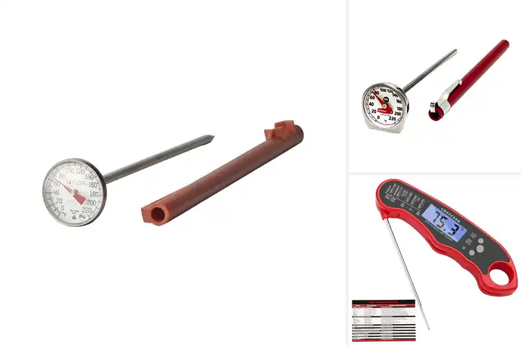 Detailed view of Best Pre Calibrated Meat Thermometers
