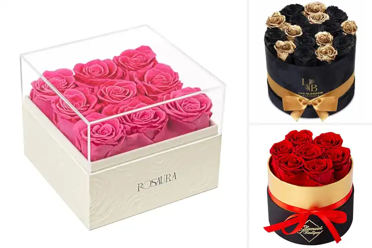 Detailed view of Best Preserved Roses Boxes: Luxury That Lasts Forever