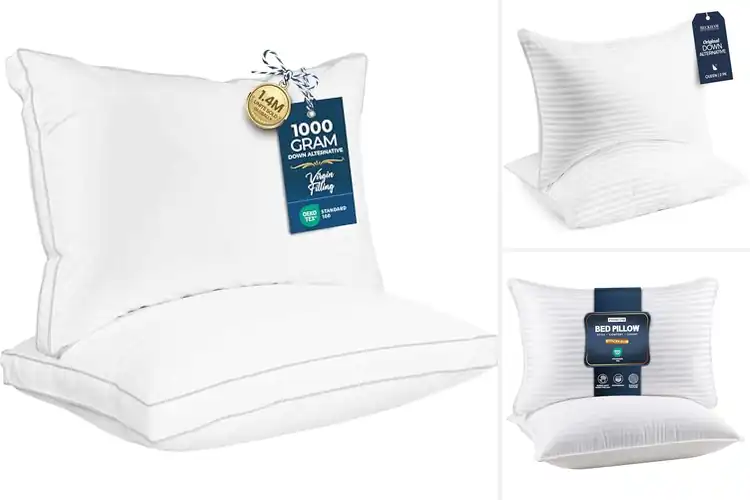 Detailed view of Best Queen Size Pillows For Sleeping