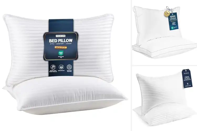Detailed view of Best Queen Size Pillows