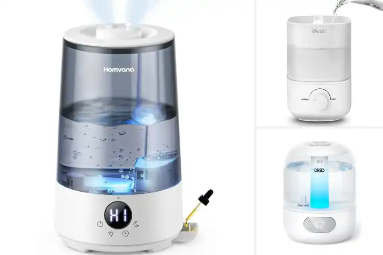 Detailed view of Best Quiet Humidifiers for Sleeping