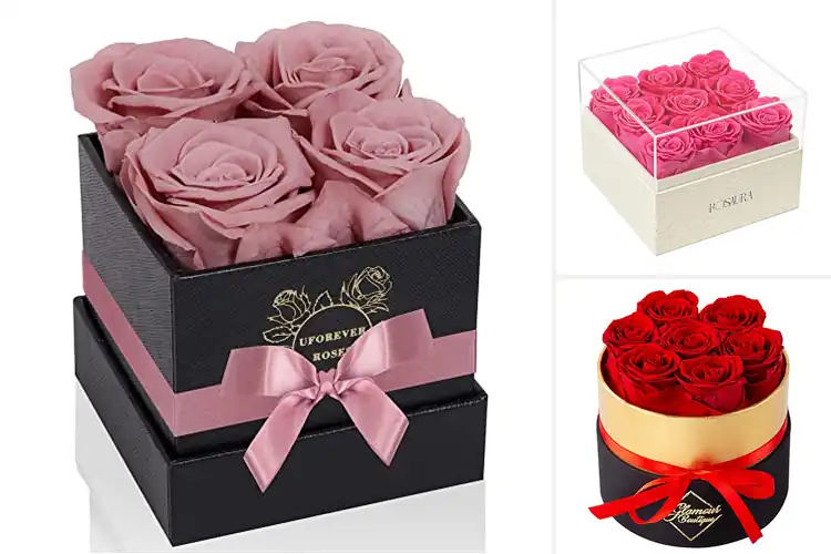 Detailed view of Best Real Preserved Roses In Box