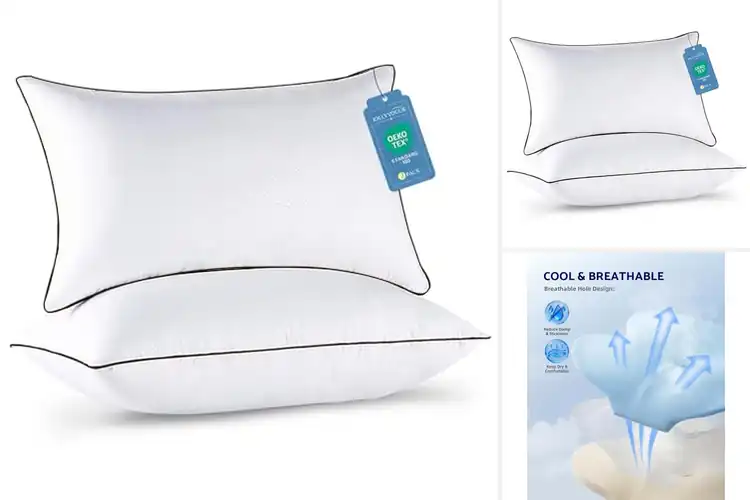 Detailed view of Best Return Bounce Back Pillows