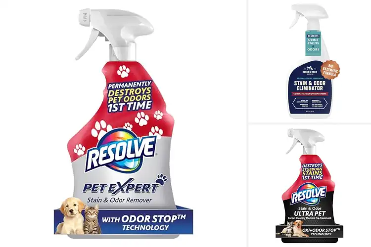 Detailed view of Best Spills And Stain Cleaner For Pets