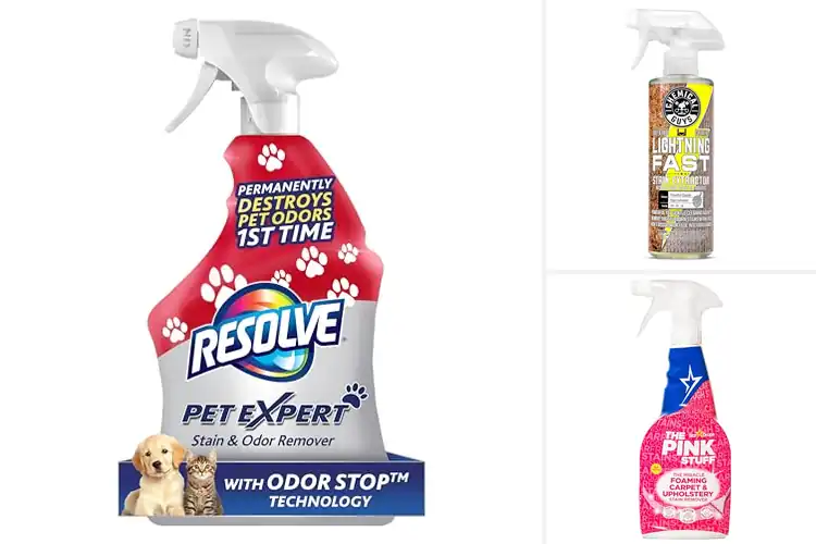 Detailed view of Best Stain Removers For Carpets And Upholstery