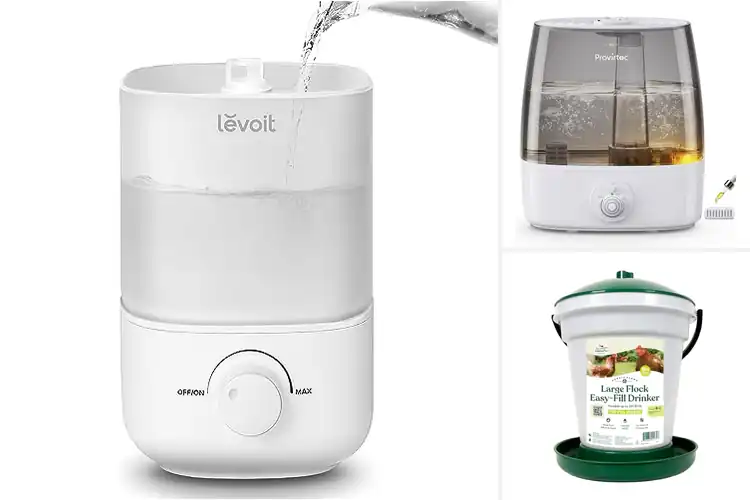 Detailed view of Best Top Fill Design