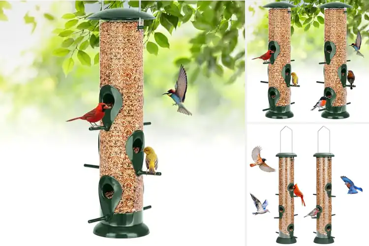Detailed view of Best Tube Feeders: Top 10 Picks for a Vibrant Bird Haven