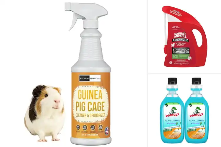 Detailed view of Best Value Pet Safe Cleaning Formula Included